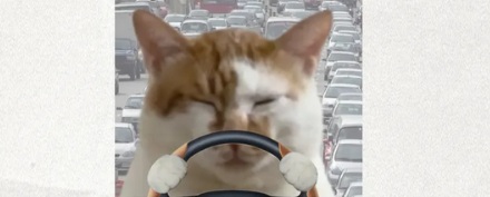 为什么高速公路要故意设置很多弯道？