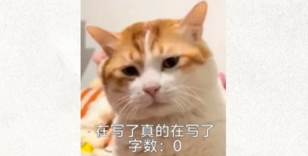 什么末世文都在写极寒，很少写极热？
