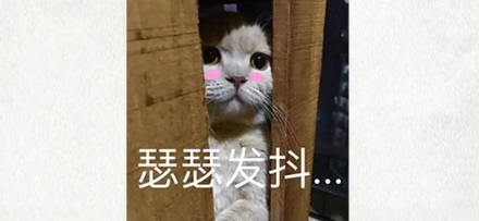 为什么说香菇是被吓大的？