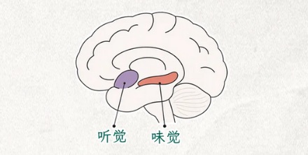 为什么清亮的钢琴会使甜味更甜，而低音的长号就使苦味更苦呢？