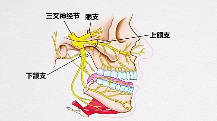 哪一种痛号称「天下第一痛」？