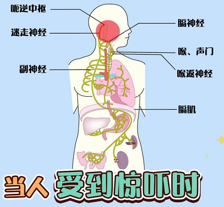 为什么打嗝时被吓一跳就会好？