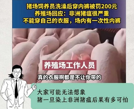 为什么在养猪场不能穿自己的内裤？