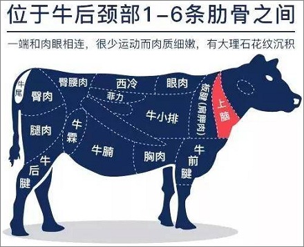 「牛上脑」指的是哪个部位的肉？