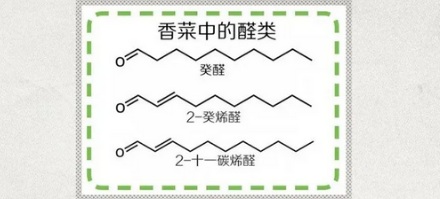 为什么香菜可以用来除尸臭？