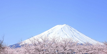 富士山属于私人土地 