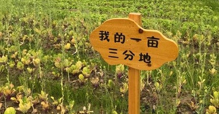 「一亩三分地」是怎么来的？