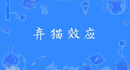 「弃猫效应」是什么意思？